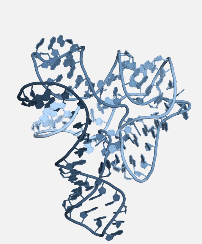 The S-adenosylmethionine riboswitch regulatory element, PDB 2GIS, drawn as a cartoon model